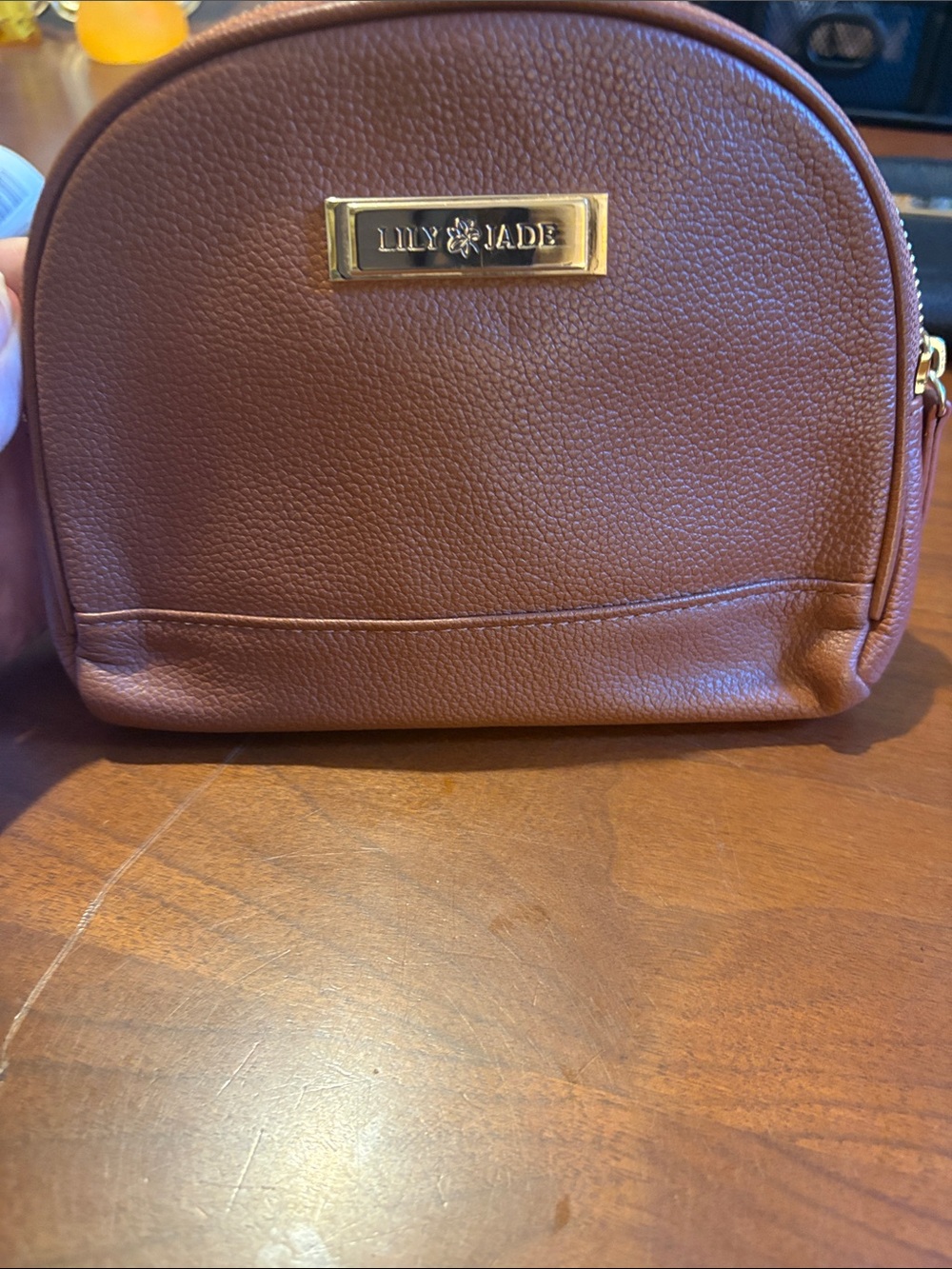 Lily Jade Brown Pebbled Cosmetic Case with Gold Accent